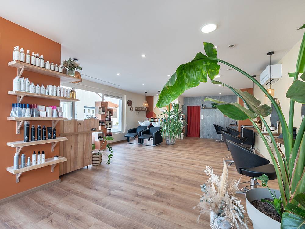 gros plan sur le salon